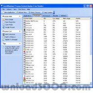 CareWindows Process Control Master Free Version screenshot